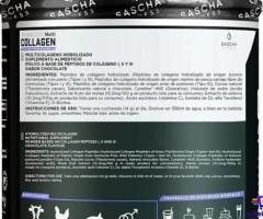Colageno Hidrolizado Sascha Fitness - Sabor Chocolate