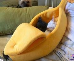 Cama Banano Comoda Calida Talla L