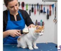 Maquina Peluquería Para Mascotas